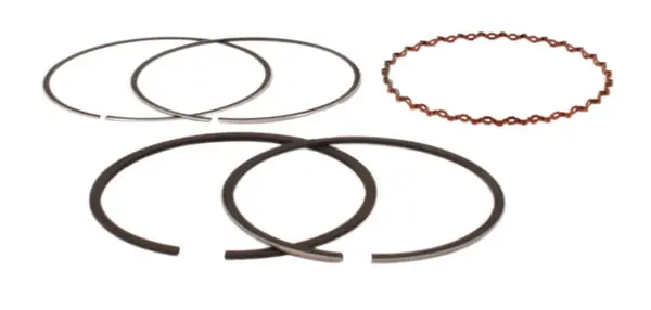Price Cut Piston Ring Set (01-0750)