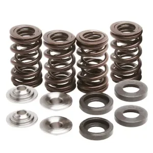 Big Sale Kibblewhite Valve Spring Kit (12-0113)