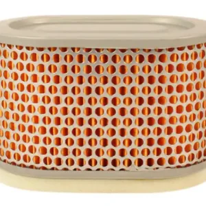 Reduced Price Air Filter (15-0077)