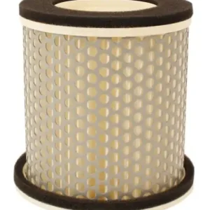Budget Air Filter (15-0085)