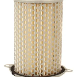 Authentic Air Filter (15-0093)