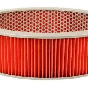 Cheap Air Filter (15-0119)