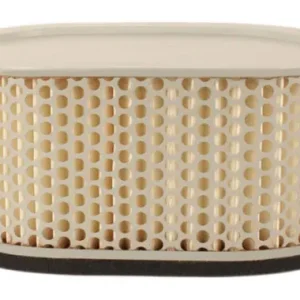 Air Filter (15-0145) Next Day Delivery