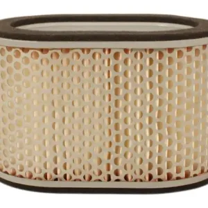 Air Filter (15-0146) Same Day Shipping