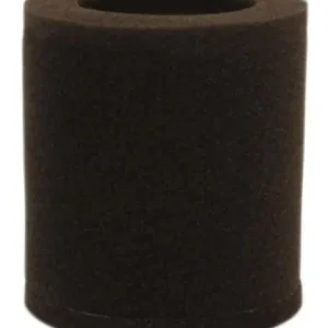 Express Delivery Air Filter (15-0160)