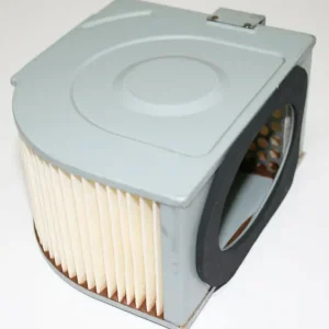 Editor’s Pick Stock Type Air Filter (15-0161)