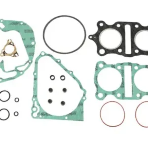 Limited Edition Engine Gasket Set (18-0189)