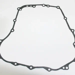 Authentic Rear Case Gasket (48-9954)