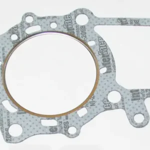 Today Only Cylinder Head Gasket (48-9994)