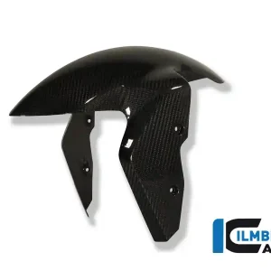 Same Day Shipping Carbon Fiber Front Fender by Ilmberger Carbon  BMW / S1000XR / 2019