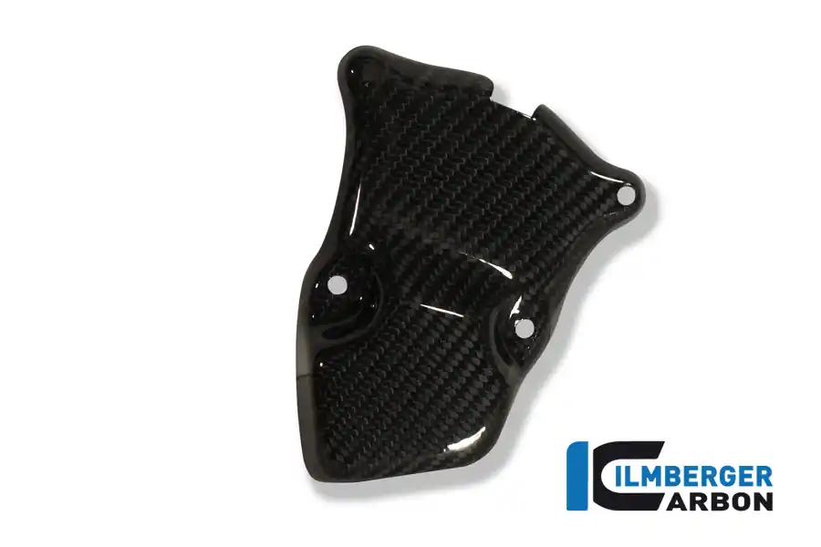 Fan Favorite Carbon Fiber Ignition Rotor Cover by Ilmberger Carbon BMW / S1000XR / 2019