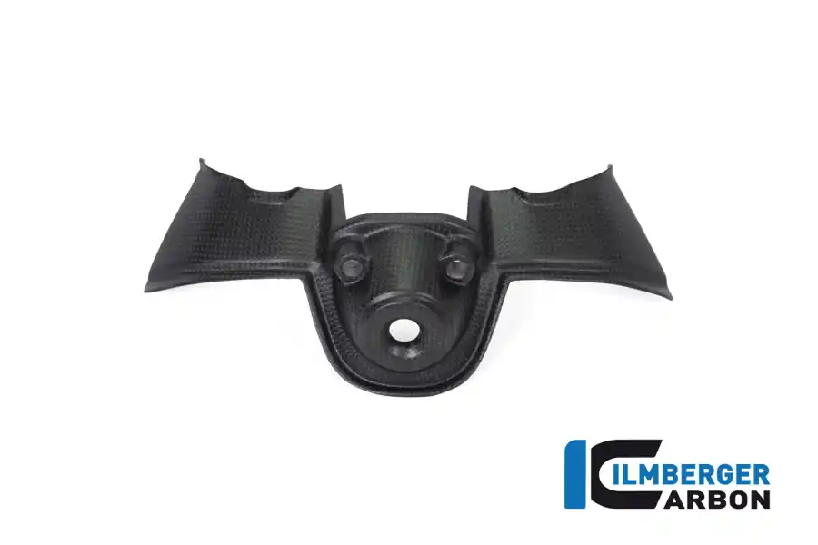 Carbon Fiber Ignition Cover by Ilmberger Carbon Ducati / Panigale V4 / 2018 Cheap