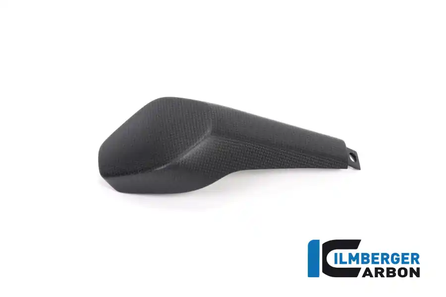 Carbon Fiber Passenger Seat Cover by Ilmberger Carbon Ducati / Panigale V4 / 2018 Best Choice