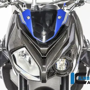 Modern Carbon Fiber Front Fairing by Ilmberger Carbon  BMW / S1000R / 2017