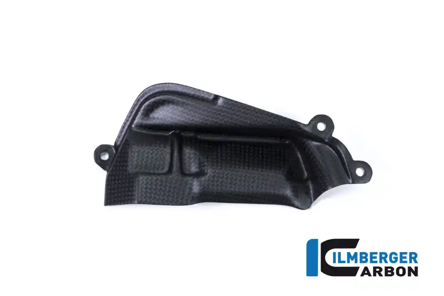 Today Only Carbon Fiber Right Side Cylinder Head Cover by Ilmberger Carbon Ducati / Panigale V4 R / 2020