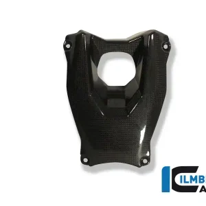 One Day Deal Carbon Fiber Ignition Cover by Ilmberger Carbon  Ducati / Streetfighter 1098 S / 2009