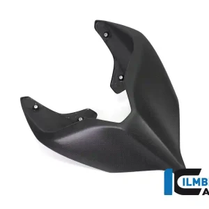 Price Drop Carbon Fiber Monoposto Rear Seat Cover by Ilmberger Carbon  Ducati / Panigale V4 R / 2019