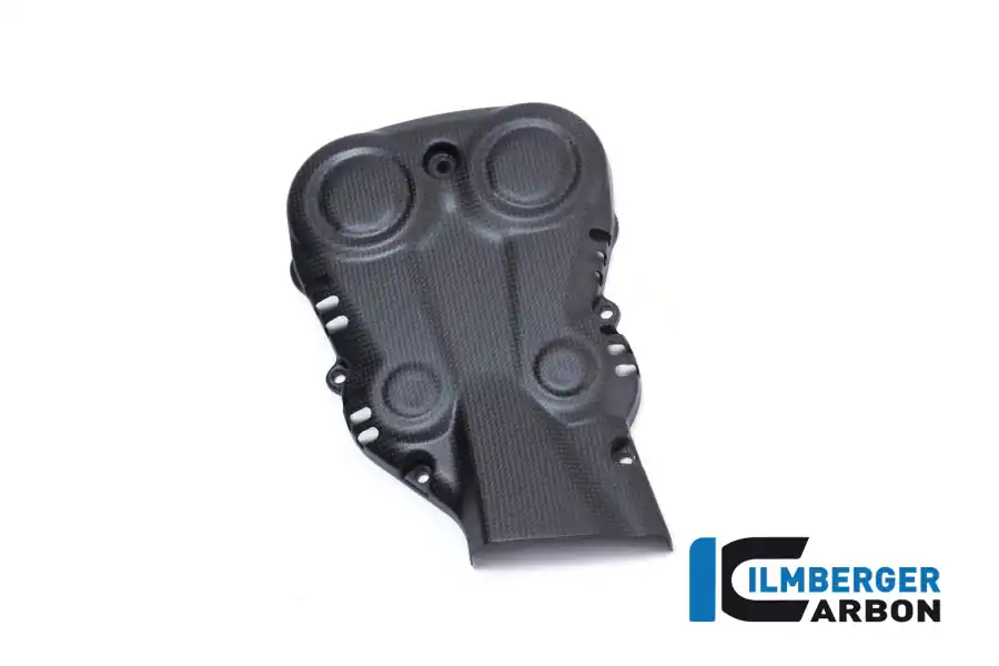 Carbon Fiber Vertical Belt Cover by Ilmberger Carbon Ducati / Monster 1200 / 2020 New Arrival