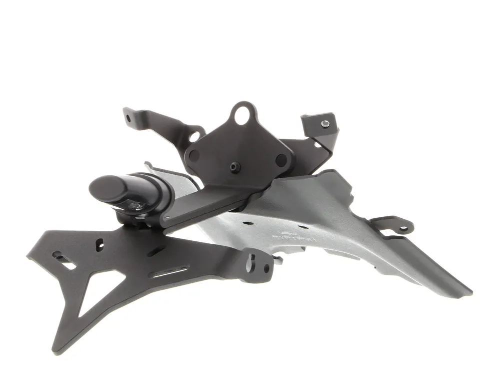 Tail Tidy Fender Eliminator by Evotech Performance BMW / R1250R / 2020 Order Now