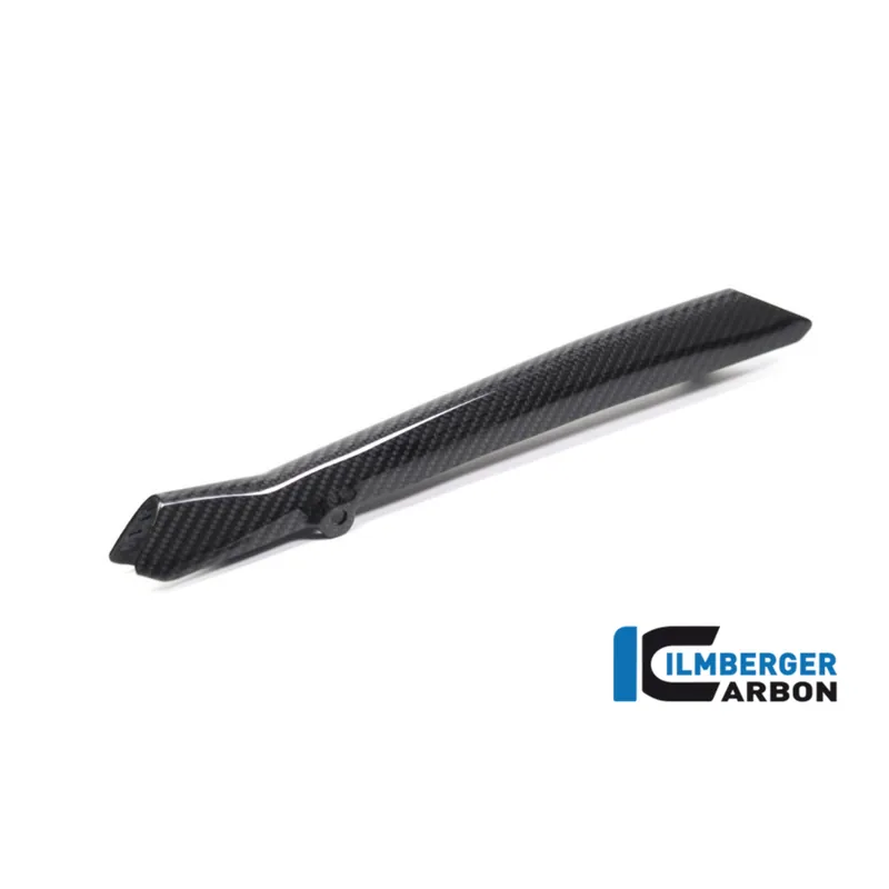 Special Offer Carbon Fiber Brake Pipe Cover by Ilmberger Carbon BMW / R1250R / 2024