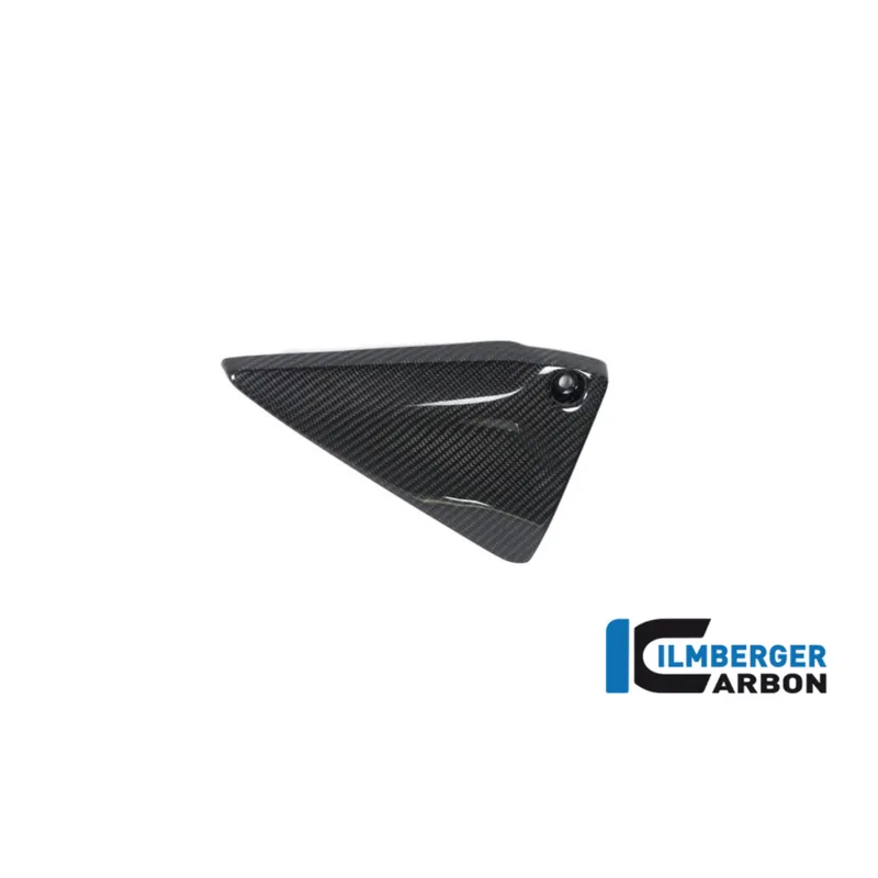 Carbon Fiber Frame Triangle Cover Left Side by Ilmberger Carbon BMW / R1250R / 2024 Get Yours