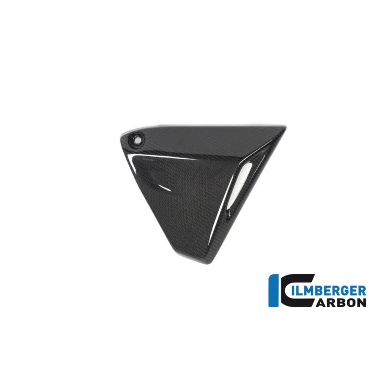 Latest Carbon Fiber Frame Triangle Cover Right Side by Ilmberger Carbon  BMW / R1250R / 2024